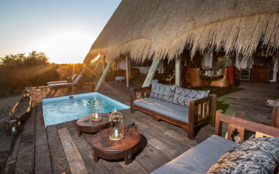 SELINDA SUITE