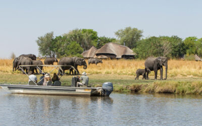CHOBE SAVANNA