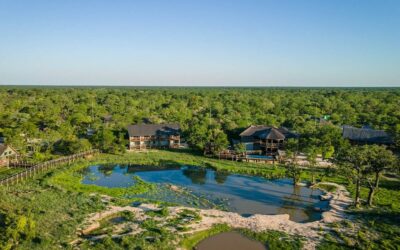 CHOBE MOPANI FOREST LODGE
