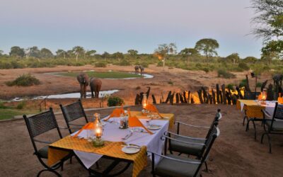 ELEPHANT VALLEY LODGE