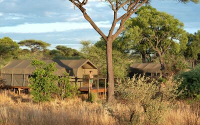 TLOUWANA CAMP